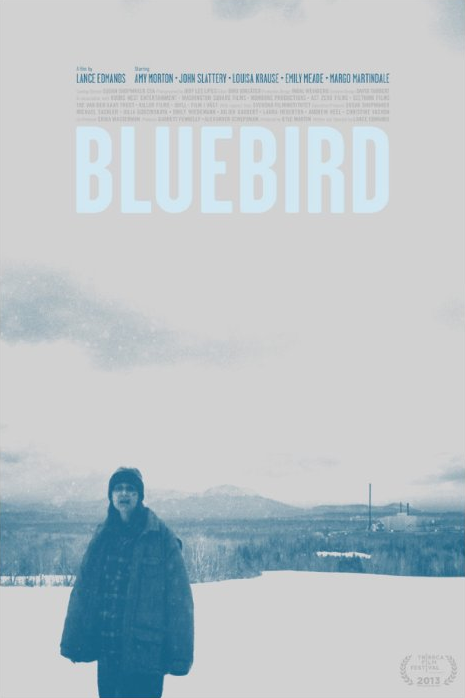 BluebirdPoster